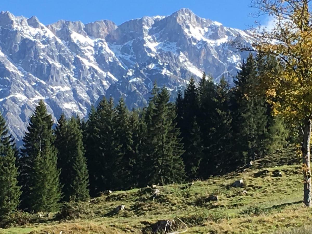 Auhaeuslalm Villa Maria Alm am Steinernen Meer Exterior photo